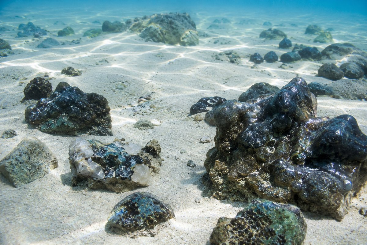 Nódulos minerais escuros e cristais brutos sobre areia clara no fundo do mar