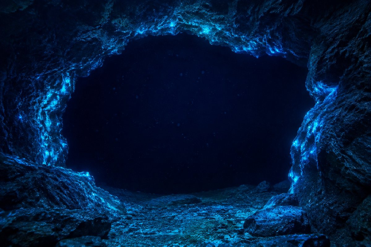 Entrada escura de uma gruta submarina rochosa, com organismos luminosos nas margens